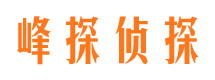 万安外遇出轨调查取证